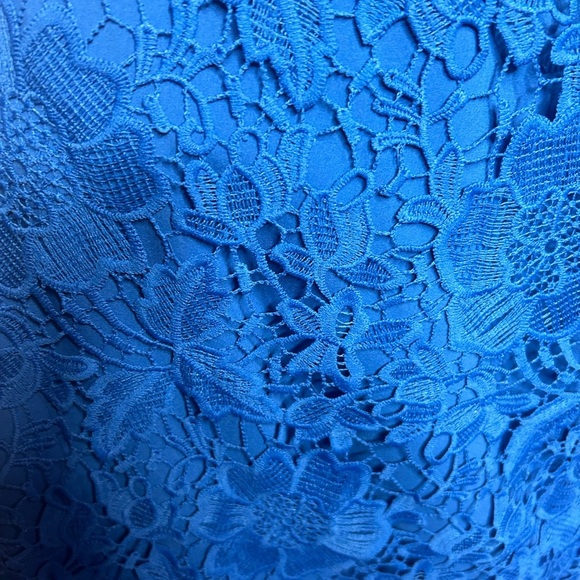 NWT Eloquii Floral Lace Cobalt Blue skirt - Picture 7 of 8
